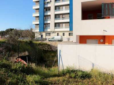 Siamo sul ciglio di Lama Cutizza, profonda all�incirca 3 metri